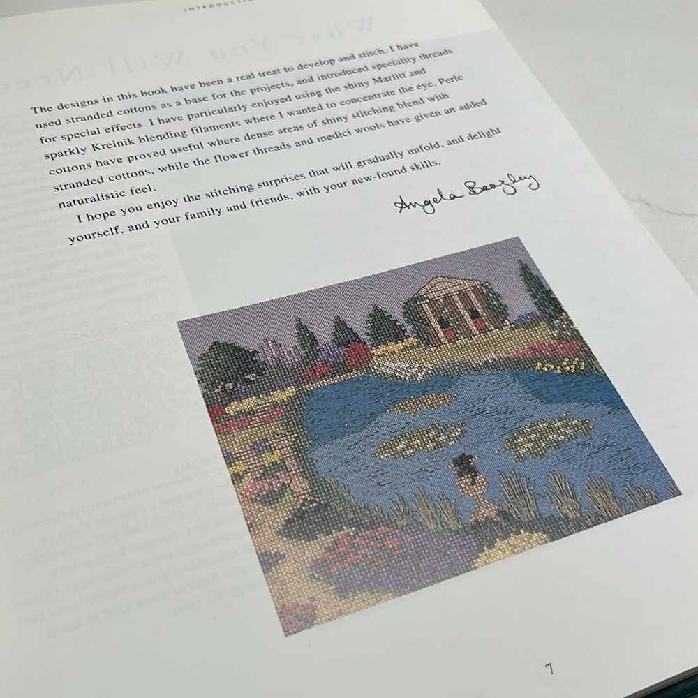 ๐ Next Steps In Cross Stitch Vintage 1996 Hardcover Book By Angela Beazley - Picture 6 of 16